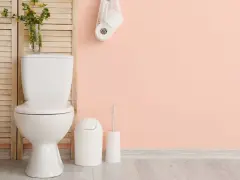 Salle de bain moderne avec WC blanc, plante verte et rouleaux de papier toilette. Idéal pour estimer le tarif remplacement wc complet.