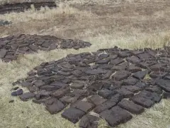 Co to jest brykiet torfowy i dlaczego warto go używać jako paliwo?