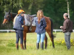 Une femme en tenue d'équitation discute avec un homme près d'un cheval sellé, lors d'une formation cheval pour adulte en extérieur.