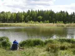 Mężczyzna w niebieskiej bluzie siedzi na krześle nad jeziorem, łowiąc ryby. W tle las i trzciny. Idealne miejsce na relaks, jak w **kiekrz**.