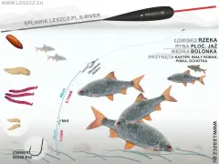 Zestaw na lina spławik: żyłka 0,14mm, haczyk nr 4, przynęty kaster, biały robak, pinka, ochotka. Idealny na rzekę, na płoć i jaź.