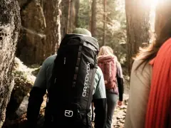 Trois randonneurs avancent dans une forêt ensoleillée, chacun portant un sac à dos Ortovox. Le sac de randonnée noir du premier plan est prêt pour le prochain lavage.