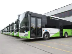 Una fila di autobus moderni, con livrea bianca e verde brillante, pronti per il servizio. Il segnale 142 è visibile su uno dei bus.