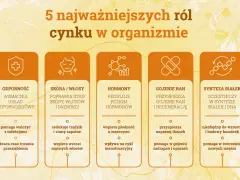 Grafika przedstawia 5 kluczowych ról cynku w organizmie: odporność, zdrowie skóry i włosów, regulację hormonów, gojenie ran i syntezę białek. Niedobór cynku objawy mogą być różnorodne.