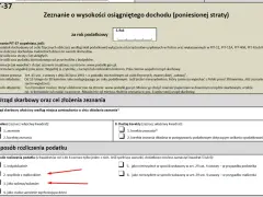 PIT-28 za 2025: Do kiedy złożyć? Uniknij kar i odsetek!