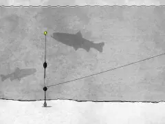 Angelmontagen Forelle: Ein Schatten einer Forelle schwimmt über dem Grund, während eine Angelmontage mit Schwimmer und Blei im Wasser hängt.