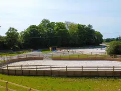 Un manège équestre, un rond d'Havrincourt, avec une piste en sable entourée de bois. Des obstacles d'équitation sont visibles au loin.