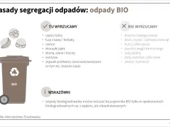 Zasady segregacji odpadów BIO: tu wyrzucamy części roślin, owoce, warzywa. Nie wyrzucamy drewna, kości, kurzu. Pamiętaj o opakowaniach biodegradowalnych.