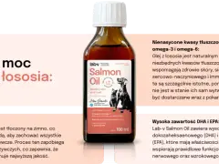Jaki olej z łososia dla psa? Najlepsze produkty dla zdrowia pupila