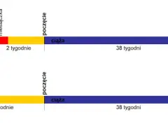 Ciąża: 40 tygodni czy 9 miesięcy? Odkryj prawdę i termin porodu!