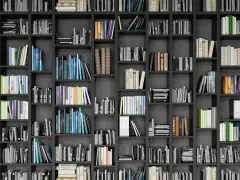 Eine Wand voller Bücherregale mit vielen Büchern in verschiedenen Farben und Größen.