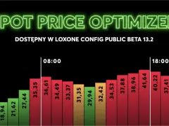Wykres pokazuje **dynamiczne ceny energii** w ciągu dnia, od niskich cen o północy do szczytowych wartości po południu.