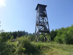 Drewniana wieża widokowa pod Jaworzem góruje nad zielonym lasem. W oddali widać mały domek.