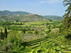 Un labirinto verdeggiante si apre su dolci colline e borghi arroccati nei Monti Sabini, un paesaggio idilliaco sotto un cielo azzurro.