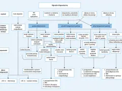 Algorytm diagnostyczny: torbiel gruczołu Bartholina, torbiel gruczołu Skene'a, torbiel przewodu Gartnera, torbiel przewodu Müllera, ropień okołoodbytniczy?
