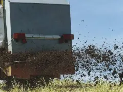 Rozrzutnik rozsypuje komunalne osady ściekowe na polu. Materiał jest wyrzucany w powietrze, tworząc brązową chmurę.