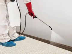 Persona con traje protector y guantes rojos rocía insecticida en la base de una pared para combatir plagas de pulgas.