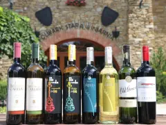 Wybierasz jakie wino na wesele? Rząd butelek z winem czerwonym i białym przed starą winnicą.