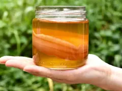 Un bocal de kombucha, boisson fermentée, tenu dans une main. Le SCOBY flotte dans le liquide ambré.