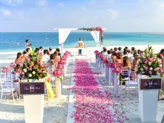 Piękny ślub na plaży. Różany dywan i białe krzesła tworzą romantyczną atmosferę.