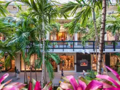 Luksusowe sklepy i palmy w Miami. Idealne miejsce, by zastanowić się, co przywieźć z Miami – może torebkę Prada?