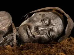 Visage d'une momie des tourbières, le corps préservé dans la tourbe, les traits du visage marqués par le temps.