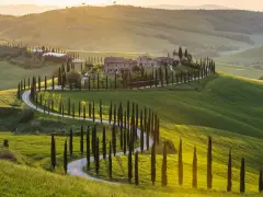 Un suggestivo itinerario Val d'Orcia 3 giorni: cipressi fiancheggiano una strada tortuosa tra dolci colline verdi al tramonto.