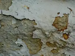Muri scrostati con macchie scure, segno di umidità. Ecco come evitare muffa in casa.