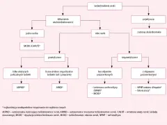 Schemat diagnostyczny torbieli nerek: od pojedynczej torbieli do wielotorbielowatości, uwzględniający objawy i skalę Bosniaka.