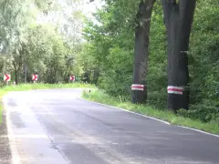 Droga zakręca wśród zieleni, a po prawej stronie stoją drzewa w skrajni, oznaczone białoczerwonymi pasami.
