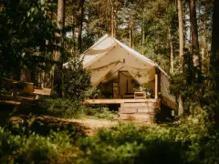 Namiot na Mazurach, otoczony lasem. Drewniana ławka i taras zapraszają do odpoczynku. Idealne miejsce na mazury pod namiot.