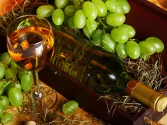 Wino wegańskie co to znaczy? Odkryj, co je wyróżnia i jak powstaje