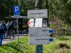 Drewniany drogowskaz w górach z nazwami szlaków: Palenica Białczańska, Morskie Oko, Zazadnia, Polana Rusinowa.