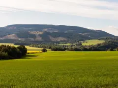 Zielone pola i lasy u podnóża Gór Opawskich. Atrakcje przyrodnicze tego regionu zachwycają o każdej porze roku.