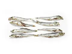 Suszone szprotki ułożone w rzędach. Czy szprotki są zdrowe? Tak, to bogactwo kwasów omega-3 i białka.