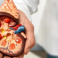 Od czego jest urolog? Objawy, choroby i wizyta bez obaw