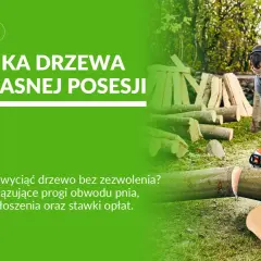 Mężczyzna w ochronnym ubraniu wykonuje wycinkę drzewa na działce rolnej. W tle stosy drewna.