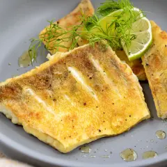 Gebratene Zanderfilets mit Dill und Zitrone, ein köstliches Zander Rezept, serviert auf einem grauen Teller.