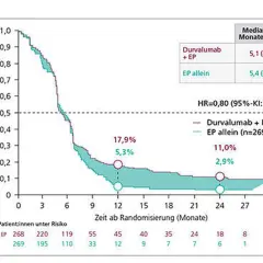 Kaplan-Meier-Kurven zeigen Überlebensraten bei Lungenkrebs. Die Daten deuten auf eine verbesserte Lebenserwartung bei Rezidiv mit Durvalumab + EP hin.