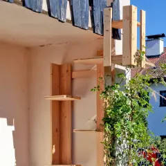 Selbstgebaute katzentreppe aus Holz, die an einer Hauswand befestigt ist. Mehrere Ebenen laden zum Klettern ein.