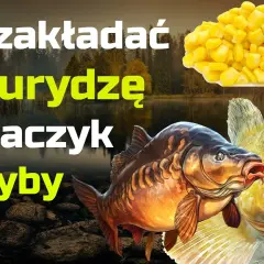 Zakładanie kukurydzy na haczyk: Łów więcej, poznaj triki eksperta