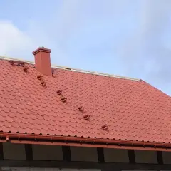 Dachówka Röben – czy opinie o jej kiepskiej jakości są uzasadnione?