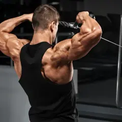Ein Mann trainiert im Fitnessstudio, seine Muskeln sind stark ausgeprägt und die Venen zeichnen sich ab. Die Muskelpumpe ist deutlich sichtbar.