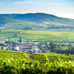 Paysage de vignobles verdoyants et de villages pittoresques, typique des plus beaux villages du Beaujolais.