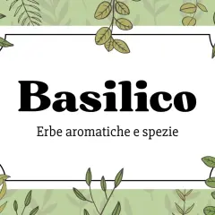 Etichette da stampare e ritagliare gratis: Basilico, erbe aromatiche e spezie. Perfette per i tuoi barattoli!