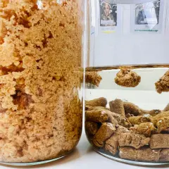 Dwa słoiki z zawartością. Jeden pełen brązowej, sypkiej masy, drugi z pelletem w wodzie. Tak wygląda pellet w różnych formach.