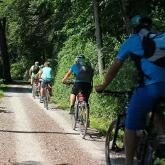 Grupa rowerzystów przemierza leśną ścieżkę, odkrywając najpiękniejsze trasy rowerowe lubuskie.