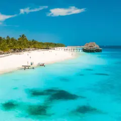 Rajska plaża na Zanzibarze z białym piaskiem, palmami i turkusową wodą.