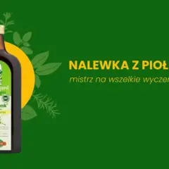 Nalewka z piołunu, mistrz na wszelkie wyczerpania. Butelka Maitrunk Hildegard von Bingen.