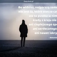 Samotna postać na pustkowiu, symbol typ samotnika. Cytat o pustce wewnętrznej.
